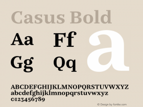 Casus Bold Version 7.504图片样张