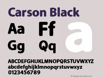 Carson Black Version 1.00 March 23, 2016, initial release图片样张