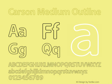 Carson Medium Outline Version 1.00 March 23, 2016, initial release图片样张