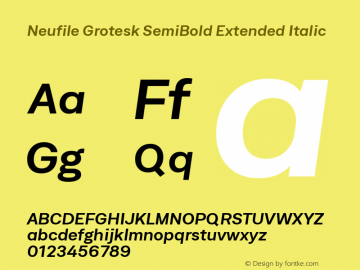 Neufile Grotesk SemBd Ext Ita Version 1.000;PS 001.000;hotconv 1.0.88;makeotf.lib2.5.64775图片样张