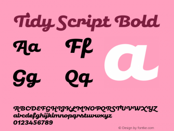 TidyScript-Bold Version 1.000;PS 001.000;hotconv 1.0.88;makeotf.lib2.5.64775 Font Sample