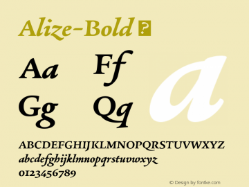 ☞Alize-Bold Version 1.000;com.myfonts.easy.type-together.alize.bold.wfkit2.version.3ctp Font Sample
