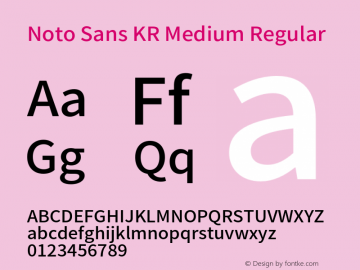 Noto Sans KR Medium Version 1.004;PS 1.004;hotconv 1.0.82;makeotf.lib2.5.63406 Font Sample