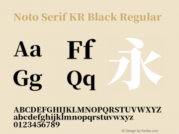 Noto Serif KR Black Version 1.001;PS 1.001;hotconv 16.6.54;makeotf.lib2.5.65590 Font Sample