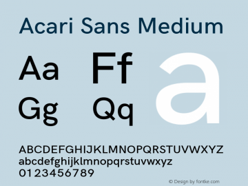 Acari Sans Medium Version 1.045 Font Sample