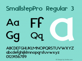 SmallstepPro-Regular3 Version 2.006 2011;com.myfonts.boris-marinov.smallstep-pro.regular.wfkit2.3zBq Font Sample