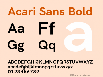Acari Sans Bold Version 1.045; ttfautohint (v1.6) Font Sample