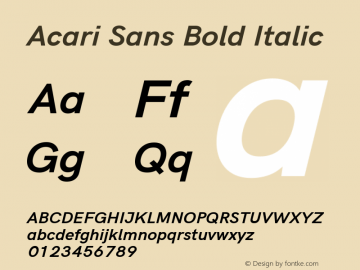 Acari Sans Bold Italic Version 1.045; ttfautohint (v1.6) Font Sample
