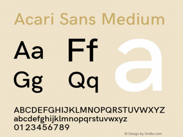 Acari Sans Medium Version 1.045; ttfautohint (v1.6) Font Sample