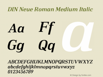DIN Neue Roman Medium Italic Version 1.001;PS 001.001;hotconv 1.0.88;makeotf.lib2.5.64775图片样张