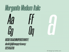 Morganite Medium Italic Version 1.000图片样张