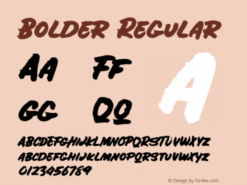 Bolder Regular Version 1.000;PS 001.000;hotconv 1.0.88;makeotf.lib2.5.64775 Font Sample