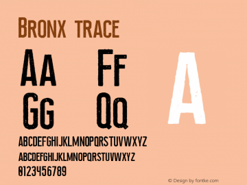 Bronx-trace Version 1.000;PS 001.000;hotconv 1.0.88;makeotf.lib2.5.64775图片样张