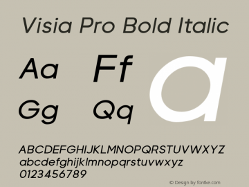 Visia Pro Bold Italic Version 1.000;PS 001.000;hotconv 1.0.88;makeotf.lib2.5.64775图片样张