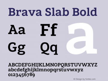 BravaSlab-Bold Version 1.000;PS 001.000;hotconv 1.0.88;makeotf.lib2.5.64775;YWFTv17 Font Sample