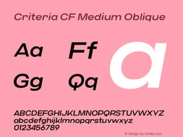 Criteria CF Medium Oblique Version 1.000;PS 001.000;hotconv 1.0.88;makeotf.lib2.5.64775;YWFTv17图片样张