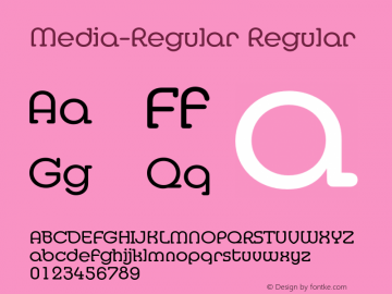Media-Regular Regular 001.001 Font Sample