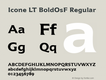 Icone LT Bold OsF Version 1.03图片样张