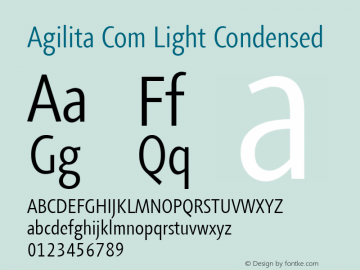 Agilita Com Light Condensed Version 1.02图片样张
