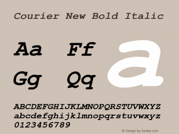 Courier New Bold Italic Version 2.50 Font Sample