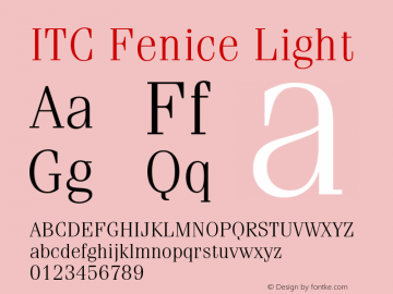 ITCFenice Light Version 1.00图片样张