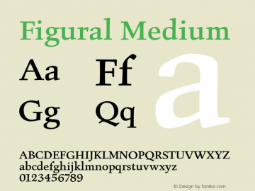 Figural Medium Version 1.00 Font Sample