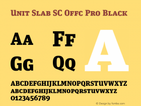 Unit Slab SC Offc Pro Black Version 7.504; 2010; Build 1023图片样张