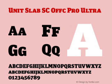 Unit Slab SC Offc Pro Ultra Version 7.504; 2010; Build 1023图片样张