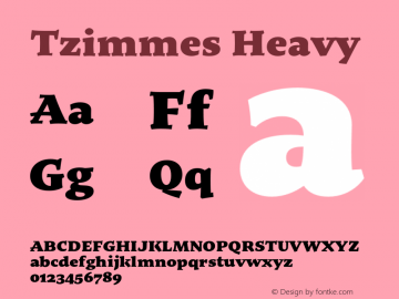 Tzimmes Heavy Version 1.002;PS 001.002;hotconv 1.0.88;makeotf.lib2.5.64775 Font Sample