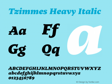 Tzimmes Heavy Italic Version 1.001;PS 001.001;hotconv 1.0.88;makeotf.lib2.5.64775 Font Sample
