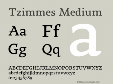 Tzimmes Medium Version 1.002;PS 001.002;hotconv 1.0.88;makeotf.lib2.5.64775 Font Sample