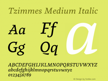 Tzimmes Medium Italic Version 1.001;PS 001.001;hotconv 1.0.88;makeotf.lib2.5.64775 Font Sample