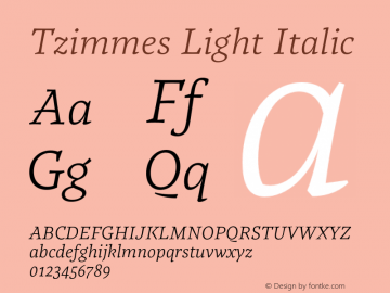 Tzimmes Light Italic Version 1.001;PS 001.001;hotconv 1.0.88;makeotf.lib2.5.64775 Font Sample