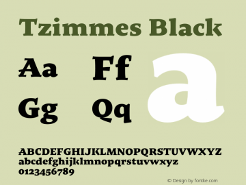 Tzimmes Black Version 1.002;PS 001.002;hotconv 1.0.88;makeotf.lib2.5.64775 Font Sample