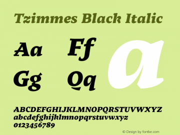 Tzimmes Black Italic Version 1.001;PS 001.001;hotconv 1.0.88;makeotf.lib2.5.64775 Font Sample