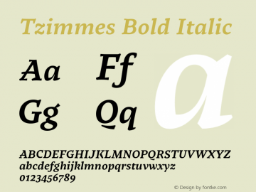 Tzimmes Bold Italic Version 1.001;PS 001.001;hotconv 1.0.88;makeotf.lib2.5.64775 Font Sample
