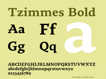 Tzimmes Bold Version 1.002;PS 001.002;hotconv 1.0.88;makeotf.lib2.5.64775 Font Sample