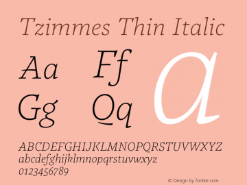 Tzimmes Thin Italic Version 1.001;PS 001.001;hotconv 1.0.88;makeotf.lib2.5.64775 Font Sample