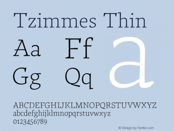 Tzimmes Thin Version 1.002;PS 001.002;hotconv 1.0.88;makeotf.lib2.5.64775 Font Sample