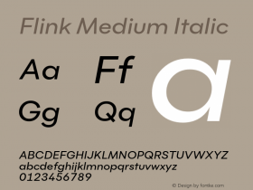 Flink-MediumItalic Version 1.000;PS 001.000;hotconv 1.0.88;makeotf.lib2.5.64775;YWFTv17 Font Sample