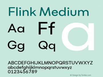 Flink Medium Version 1.000;PS 001.000;hotconv 1.0.88;makeotf.lib2.5.64775;YWFTv17 Font Sample