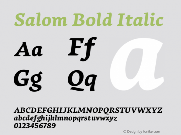 Salom Bold Italic Salom 1.005;YWFTv17图片样张