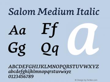 Salom Medium Italic Salom 1.005;YWFTv17图片样张