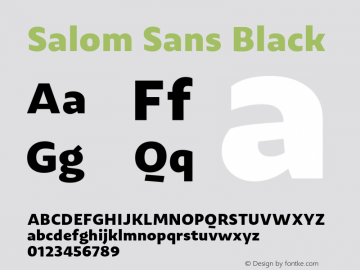 SalomSans-Black Salom Sans 1.005;YWFTv17图片样张