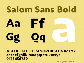 SalomSans-Bold Salom Sans 1.005;YWFTv17图片样张