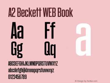 Beckett Book Version 2.002;PS 2.2;hotconv 1.0.88;makeotf.lib2.5.647800; ttfautohint (v1.4)图片样张