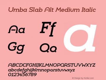 Umba Slab Alt Medium Italic Version 1.005;PS 001.005;hotconv 1.0.88;makeotf.lib2.5.64775 Font Sample