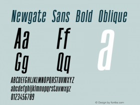 Newgate Sans Bold Oblique Version 1.0图片样张