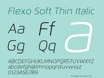 FlexoSoft-ThinIt Version 1.07          UltraPrecision Font图片样张