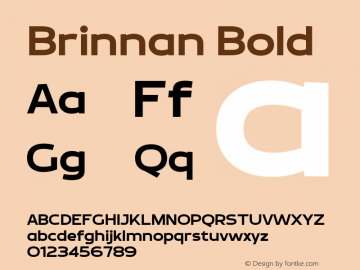 Brinnan-Bold Version 001.000;YWFTv17图片样张
